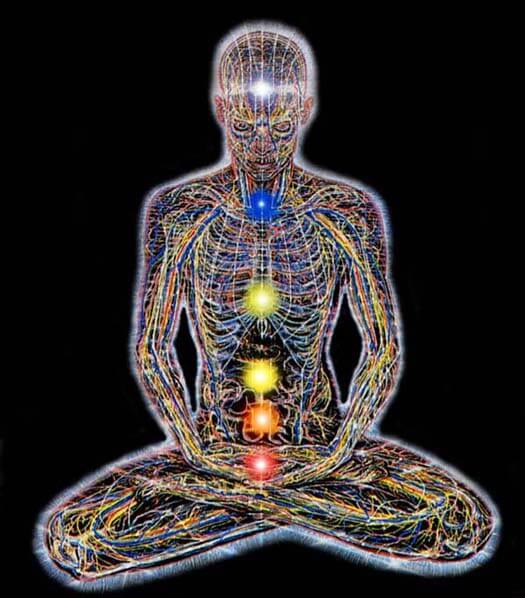 The 7 chakras